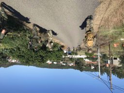 2021-06-05 e 6 FORMEX 1